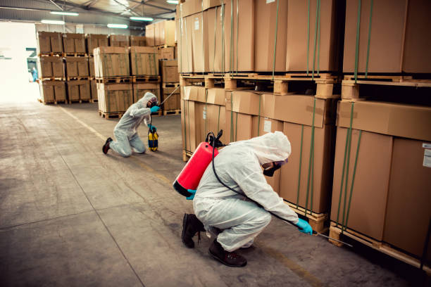 Best Best Pest Control Companies  in East Honolulu, HI