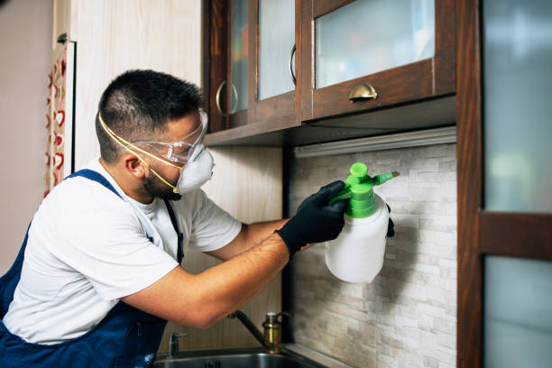 Wildlife Control Services in East Honolulu, HI