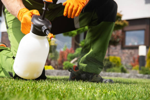 Best Termite Control Services  in East Honolulu, HI
