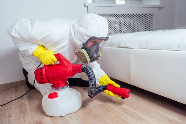 Best Best Pest Control Companies  in East Honolulu, HI