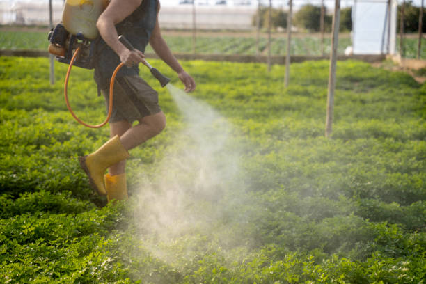 Pest Control for Restaurants in East Honolulu, HI