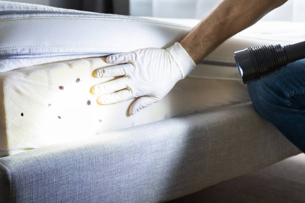 Pest Prevention Services in East Honolulu, HI