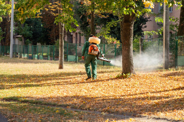 Best Commercial Pest Control Services  in East Honolulu, HI